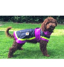 Lightweight Waterproof Dog