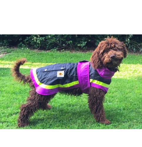 Lightweight waterproof dog - lightweight,