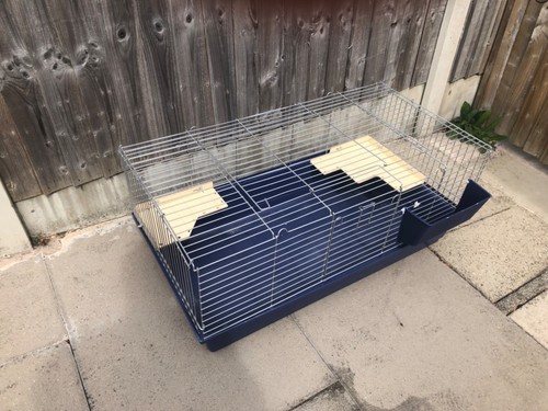 Guinea pig cage - cage, basic