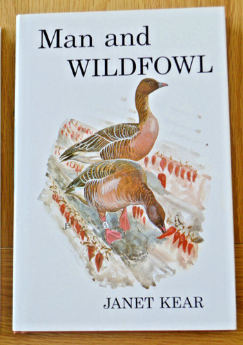 Man and wildfowl - janet, kear