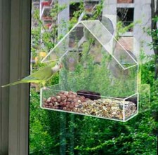Clear Perspex Window Bird Feeder Table Seed Peanut Hanging Suction See-Through