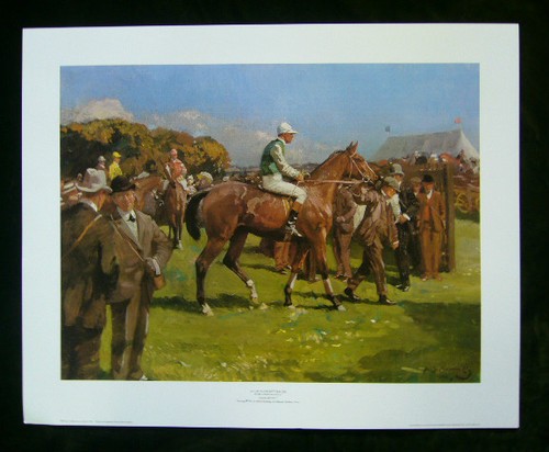 Hethersett races sir - at,