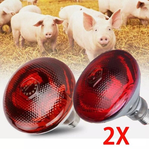 2pcs infra red - heat, lamp