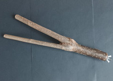 HAZEL WOOD Y-BRANCH.   UK GROWN HAZEL.  CHUNKY.  SOLID.  LARGE & SMALL BIRDS.