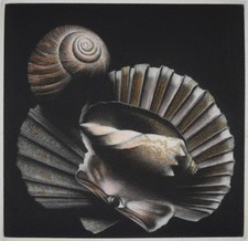 Shells. Original mezzotint by listed Trinidadian artist Sharon Aivaliotis, 1982
