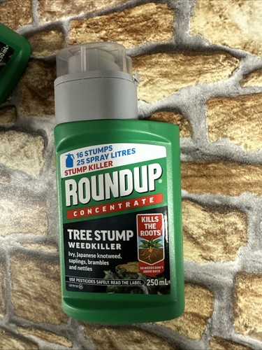 Roundup tree stump and root - roundup,