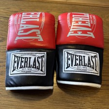Everlast Boxing Gloves -