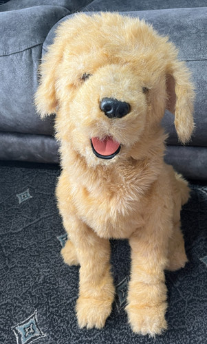 2007 hasbro furreal friends - 2007,