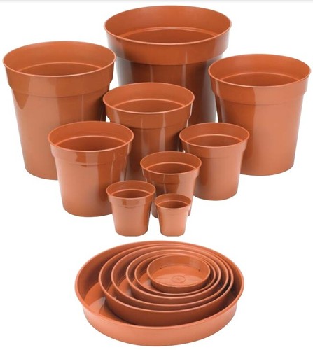 Plastic terracotta plant - plant, pot