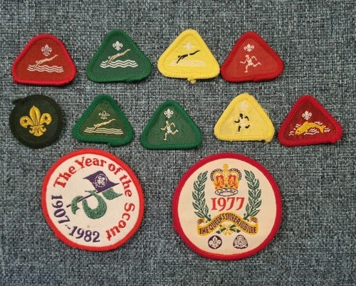 Vintage cub scout proficiency - cub,