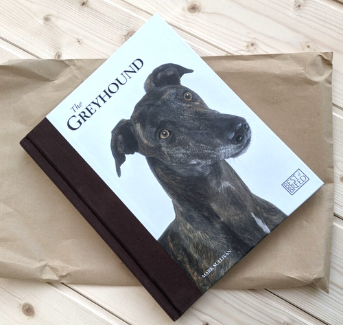 The greyhound best breed - greyhound,,