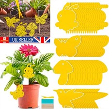 69X Sticky Fly Traps Plant Fly