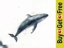 Graceful Whale Watercolor