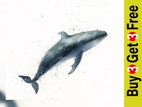 Graceful whale watercolor - graceful,
