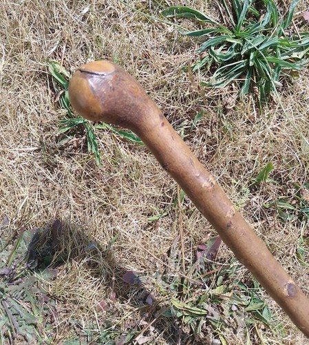 Vintage wooden root - root, ball