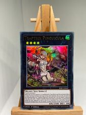 Traptrix Pinguicula - Ultra