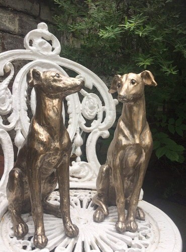 Red finch garden gifts - finch, &