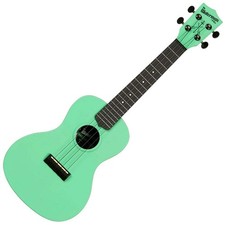 Kala waterman concert - concert, ukulele
