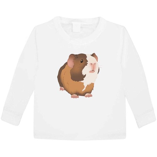 Adorable baby guinea pig - baby, pig'