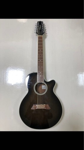Takamine string acoustic - 12-string,