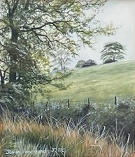 Steven Townsend Original