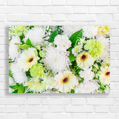 White chrysanthemum flowers - chrysanthemum,