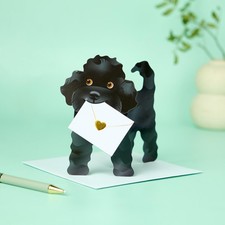 Quay Side Cards - Special Delivery 3D Greetings Card - Dog - âJazzyâ â 