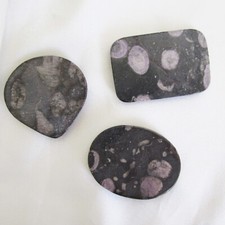 3  x Large Dyed PURPLE FOSSIL CORAL Cabouchon Stones for Jewellery Making