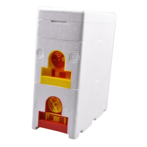 Queen bee breeding - queen, box