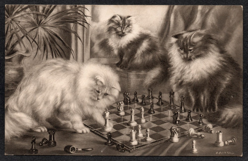 Postcard chess board - postcard,