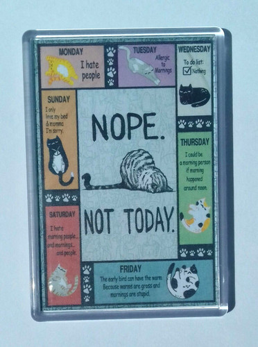Fridge magnet cat - magnet, ❤️