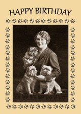 BRUSSELS GRIFFON THREE DOGS