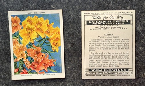 Full set cards garden - full,