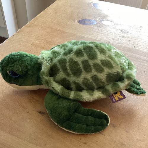Ravensden green sea turtle