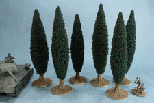 6 very large model Cypress
