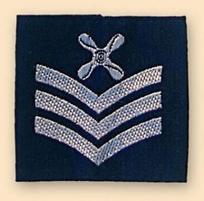 New Royal Air Force RAF Chief