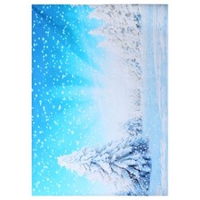 Christmas Backdrop Winter