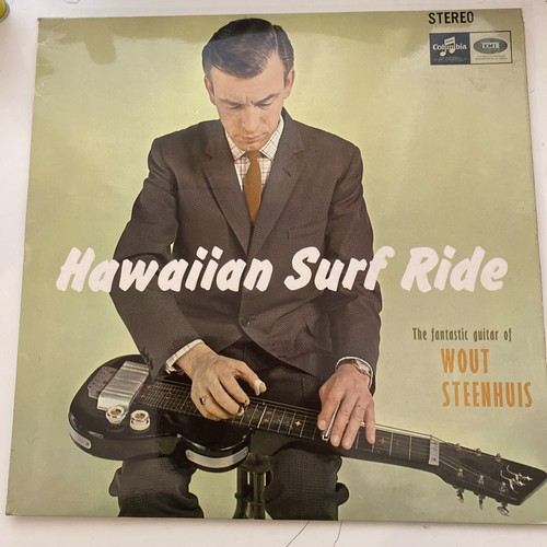 Wout steenhuis hawaiian - wout,
