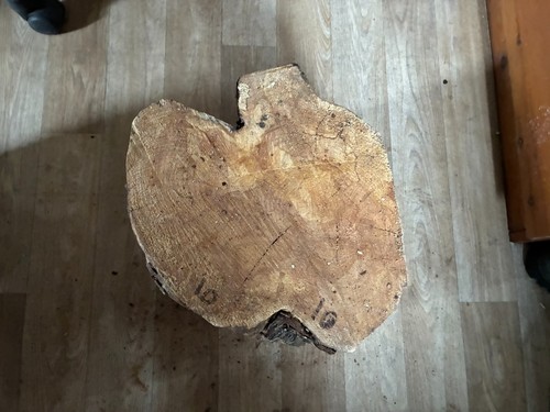 Large log wood unknown - large,