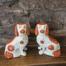 Vintage staffordshire spaniel - vintage,