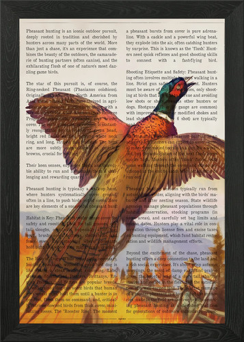 Pheasant hunt illustration - hunt,