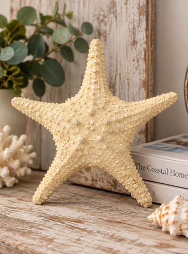 Giant natural dried knobby - natural,