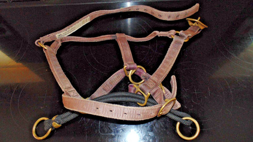 Dually training halter - dually,