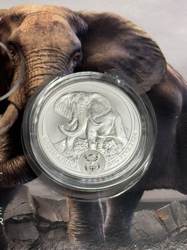 2024 the big five - big, 1oz