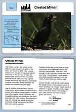 Crested Mynah #57.7 Birds - Grolier Wildlife Adventure Card