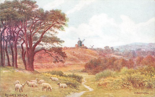 Postcard surrey reigate - surrey,