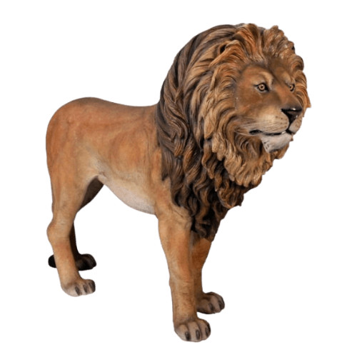 Lifesize realistic lion - lifesize, king