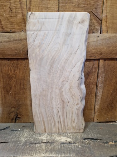 Live edge sycamore slab - edge,