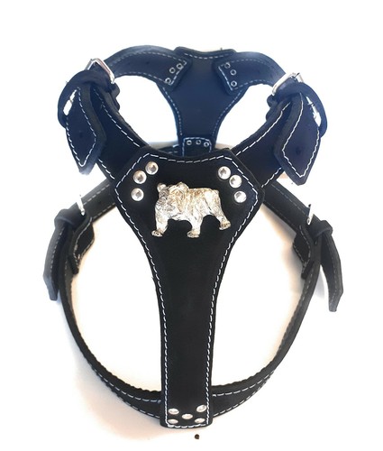 Black leather dog harness - dog,
