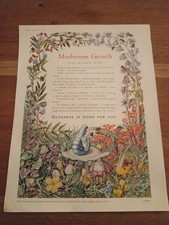 GUINNESS original 1954 Print